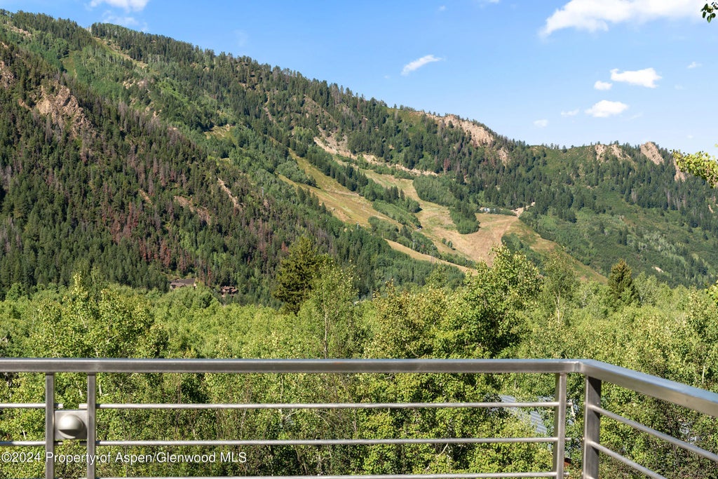 45 of 59 - 552 Mountain Laurel Drive, Aspen, CO