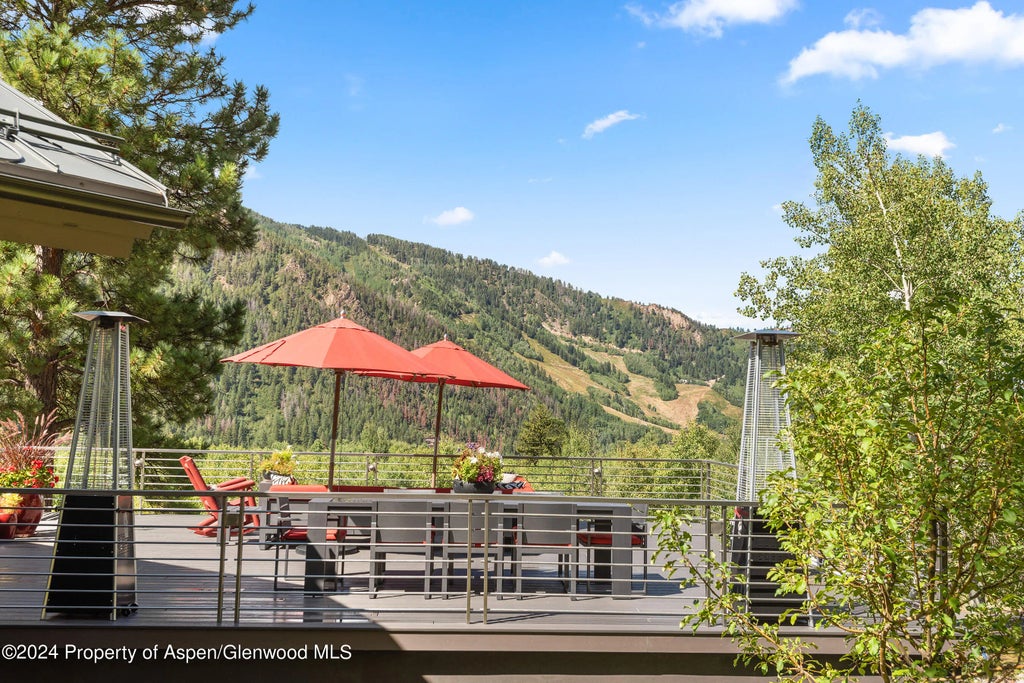 46 of 59 - 552 Mountain Laurel Drive, Aspen, CO
