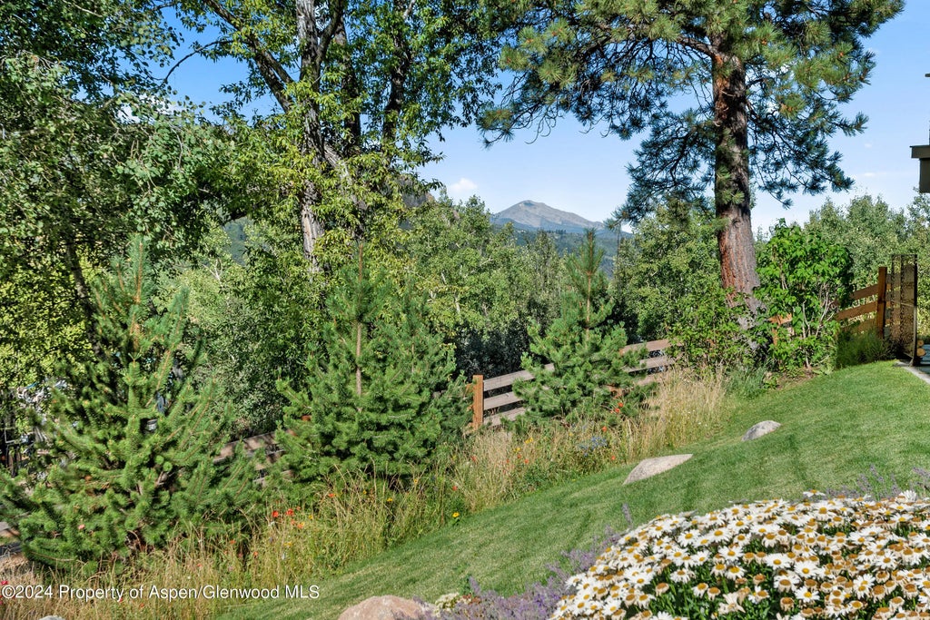56 of 59 - 552 Mountain Laurel Drive, Aspen, CO