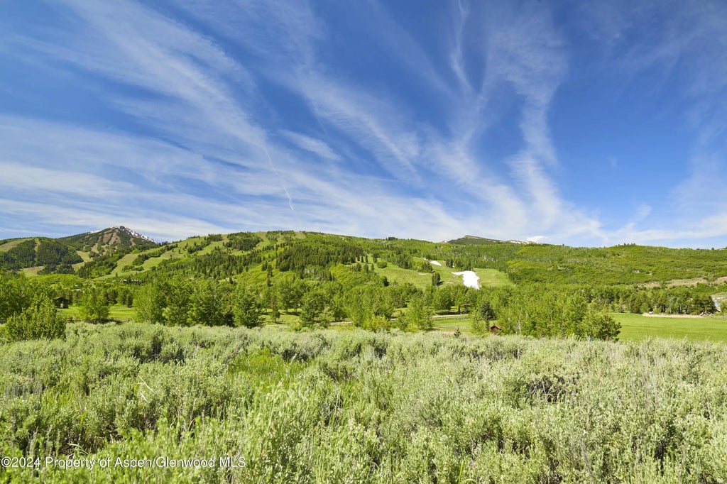 5 of 17 - Tbd Stage Road Lot 6, Aspen, CO