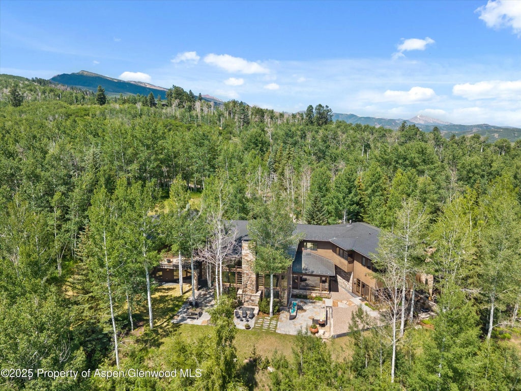 8 of 40 - 300 Eagle Pines Drive, Aspen, CO