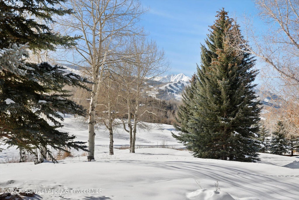 18 of 19 - 366 Snowmass Club Circle 2, Snowmass Village, CO