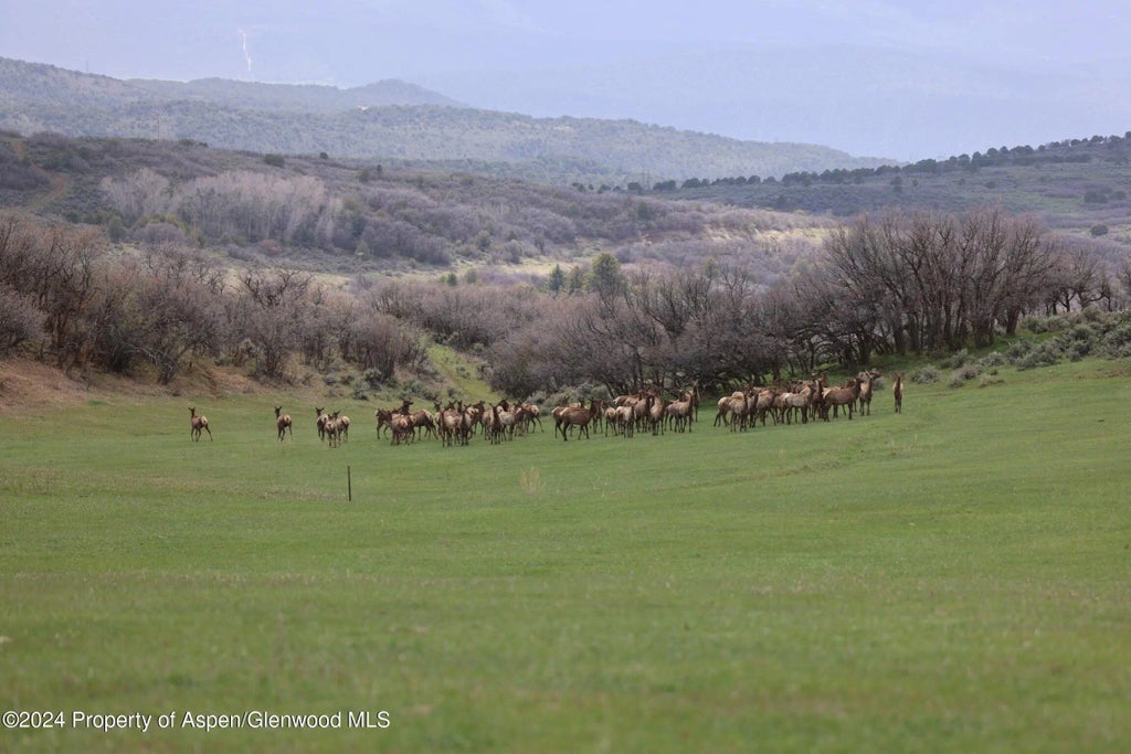 20 of 43 - Tbd County Road 100, Carbondale, CO