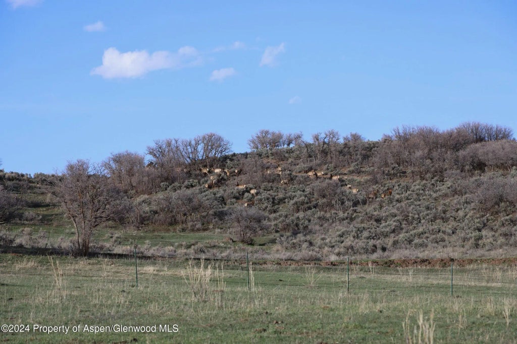 31 of 43 - Tbd County Road 100, Carbondale, CO