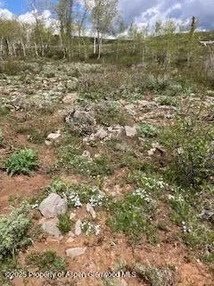 19 of 29 - Tbd Coffee Pot Road, Gypsum, CO