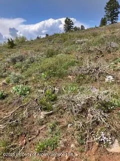 21 of 29 - Tbd Coffee Pot Road, Gypsum, CO