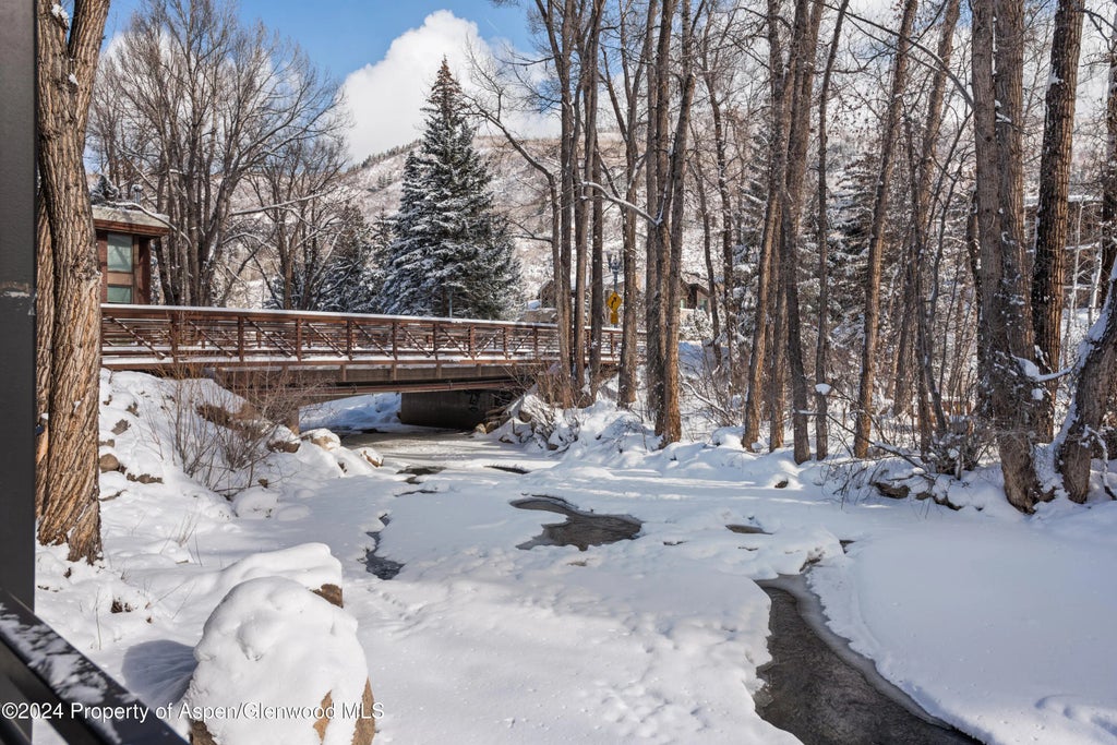 10 of 11 - 1039 E Cooper Avenue 1a, Aspen, CO