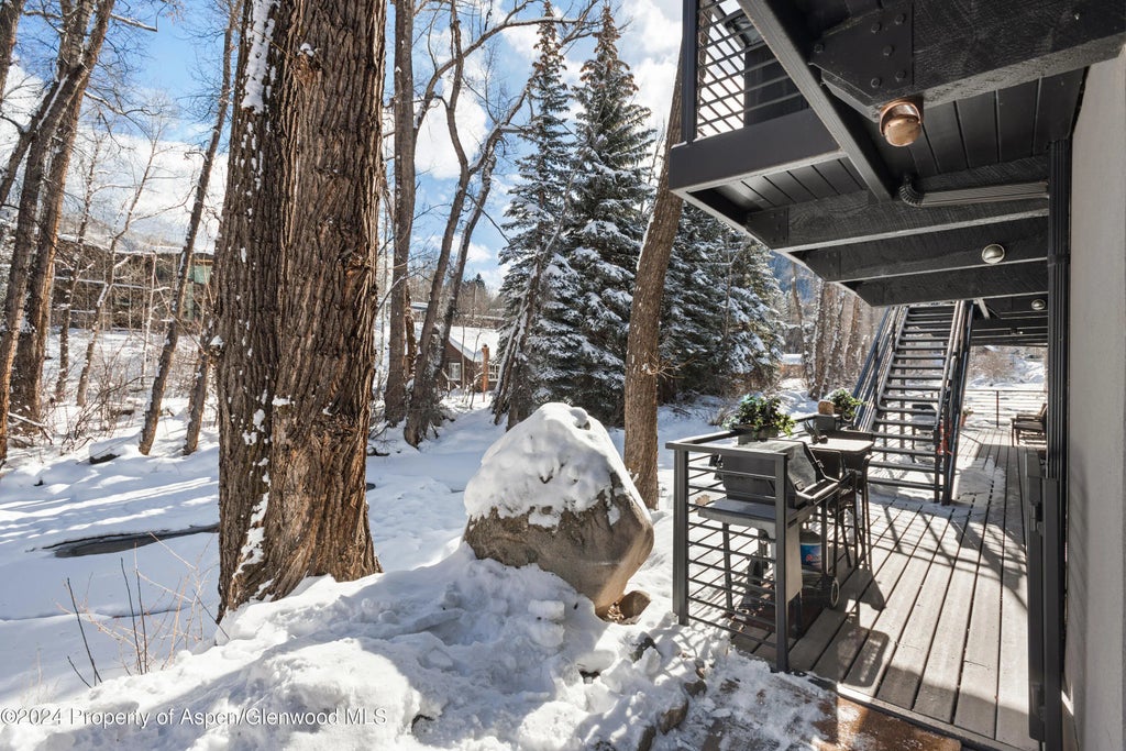 11 of 11 - 1039 E Cooper Avenue 1a, Aspen, CO