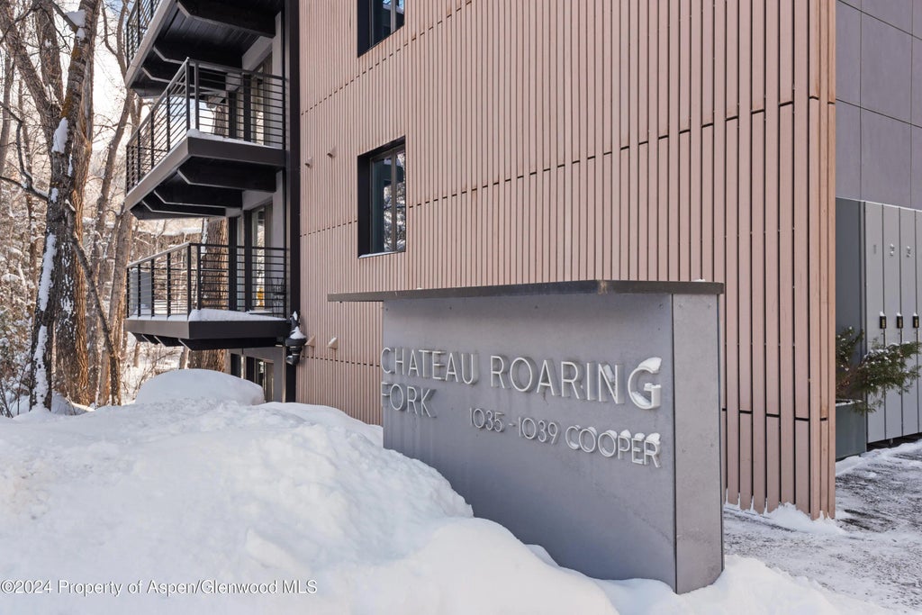 8 of 11 - 1039 E Cooper Avenue 1a, Aspen, CO