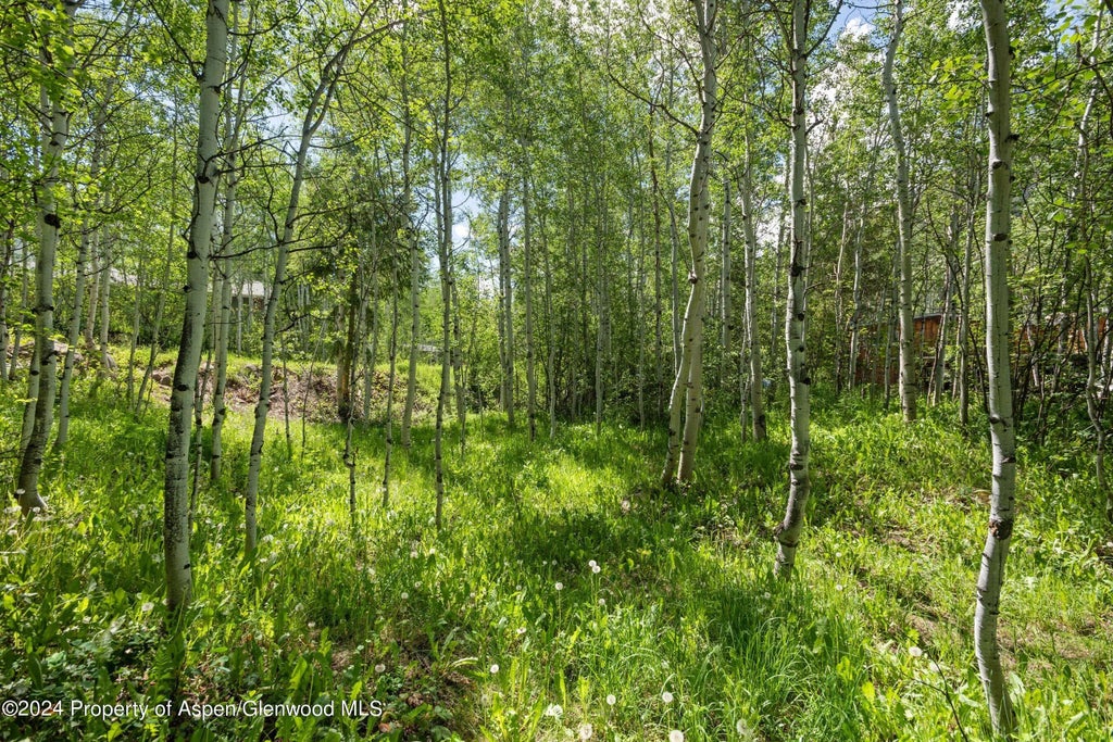 10 of 15 - 1265 Riverside Drive, Aspen, CO
