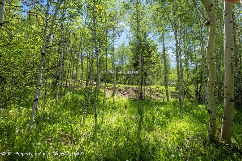 11 of 15 - 1265 Riverside Drive, Aspen, CO