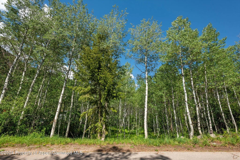 2 of 15 - 1265 Riverside Drive, Aspen, CO