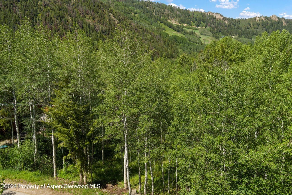 3 of 15 - 1265 Riverside Drive, Aspen, CO