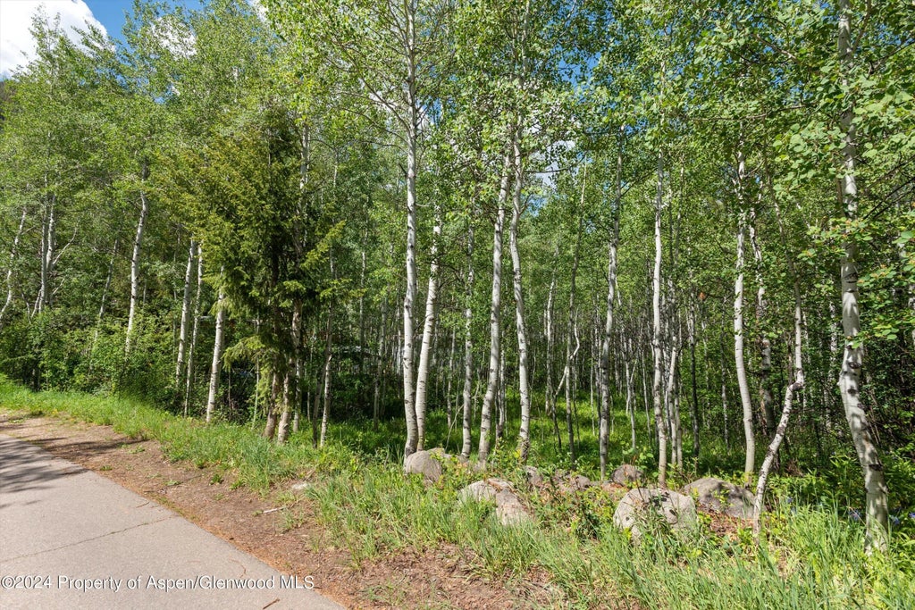 5 of 15 - 1265 Riverside Drive, Aspen, CO