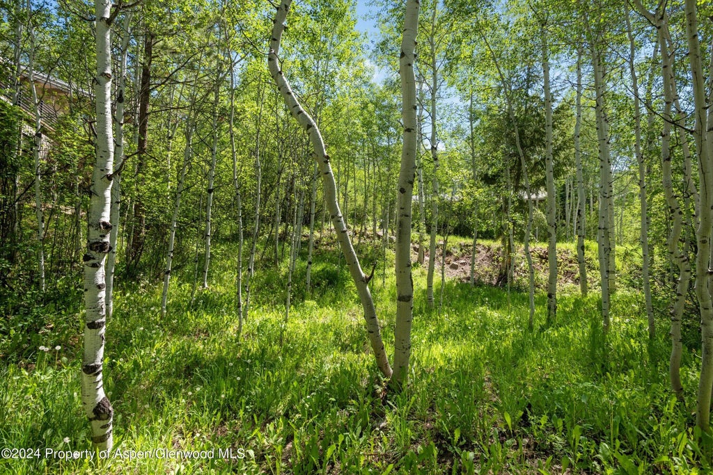 7 of 15 - 1265 Riverside Drive, Aspen, CO