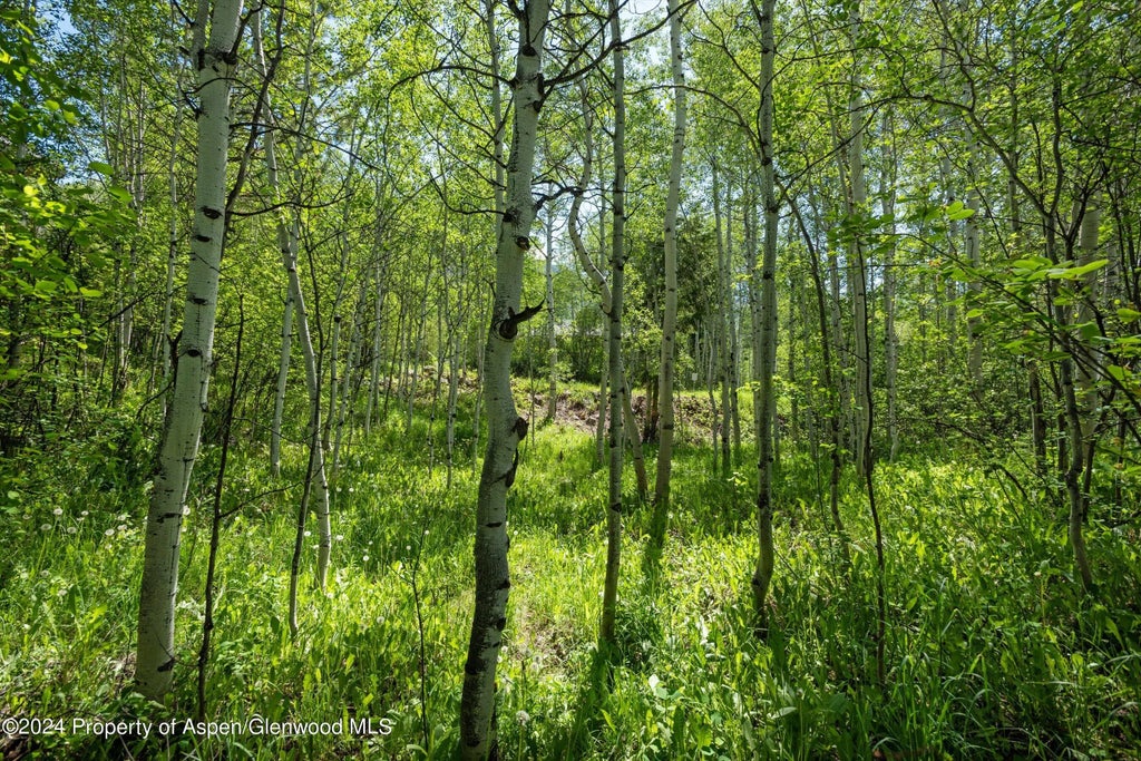 9 of 15 - 1265 Riverside Drive, Aspen, CO