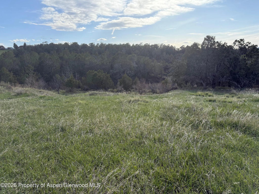 5 of 13 - 14495 Scott Loop, Collbran, CO