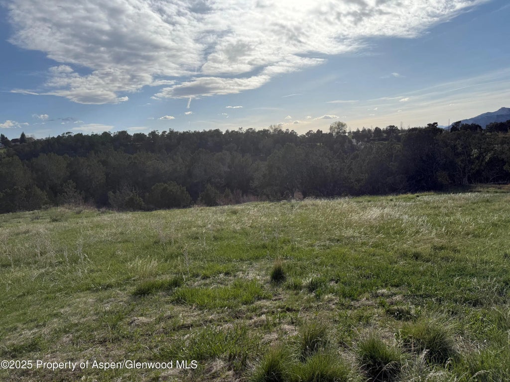 8 of 13 - 14495 Scott Loop, Collbran, CO