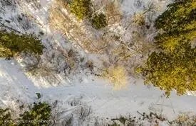 12 of 21 - Lot 4 Bear Lane, Glenwood Springs, CO