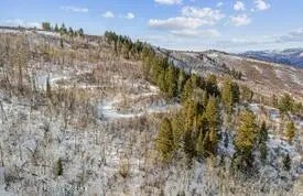 3 of 21 - Lot 4 Bear Lane, Glenwood Springs, CO