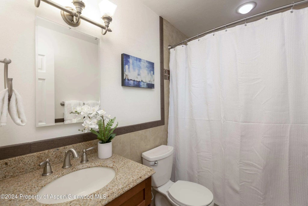 10 of 10 - 210 E Cooper Avenue 1c, Aspen, CO