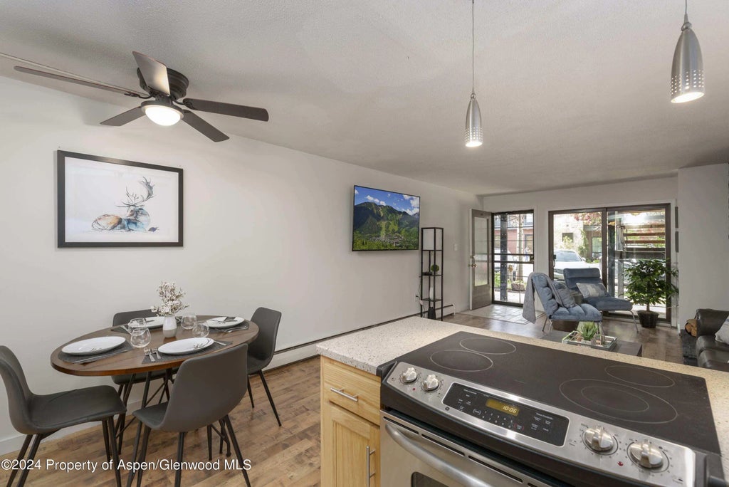 6 of 10 - 210 E Cooper Avenue 1c, Aspen, CO