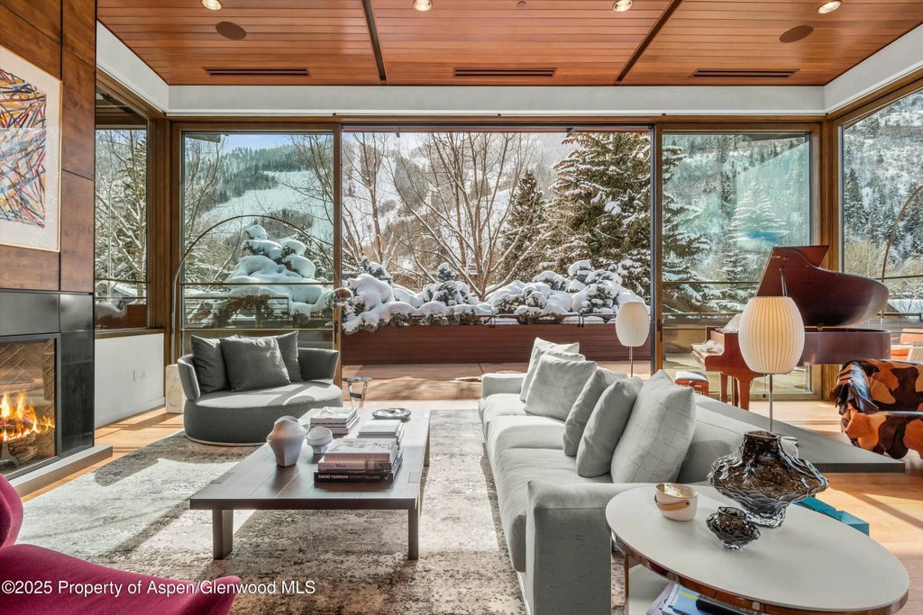 1 of 29 - 233 E Cooper Avenue 301, Aspen, CO