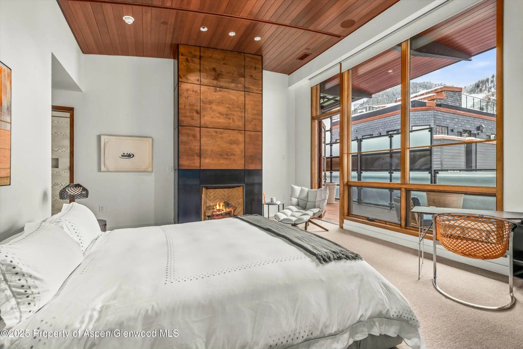 12 of 29 - 233 E Cooper Avenue 301, Aspen, CO