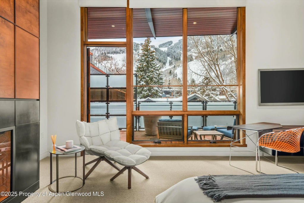 13 of 29 - 233 E Cooper Avenue 301, Aspen, CO