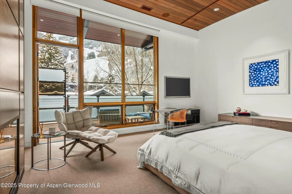14 of 29 - 233 E Cooper Avenue 301, Aspen, CO