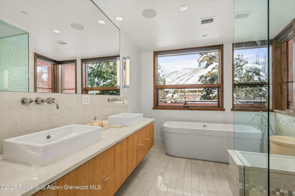 19 of 29 - 233 E Cooper Avenue 301, Aspen, CO