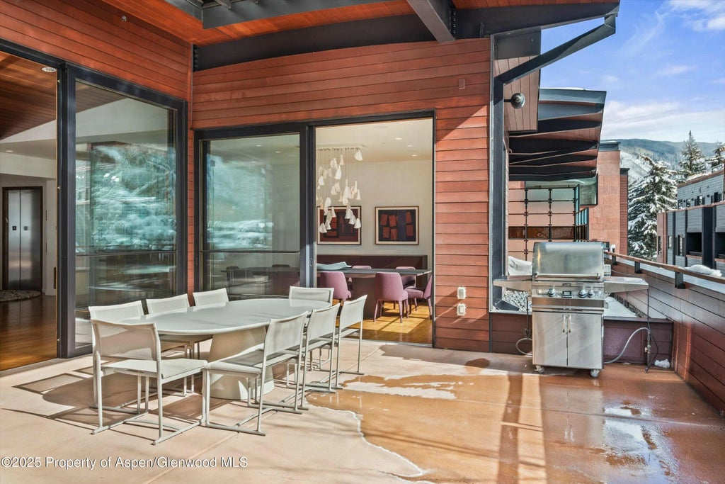 25 of 29 - 233 E Cooper Avenue 301, Aspen, CO