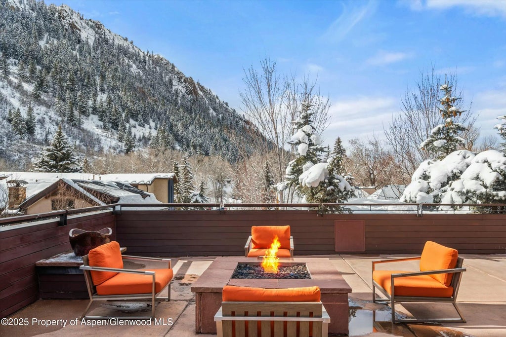 26 of 29 - 233 E Cooper Avenue 301, Aspen, CO