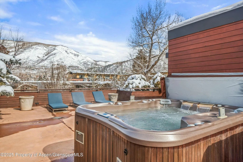 27 of 29 - 233 E Cooper Avenue 301, Aspen, CO