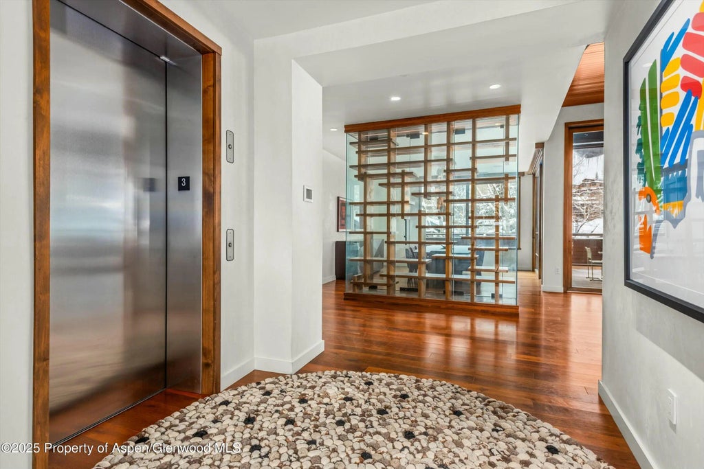 3 of 29 - 233 E Cooper Avenue 301, Aspen, CO