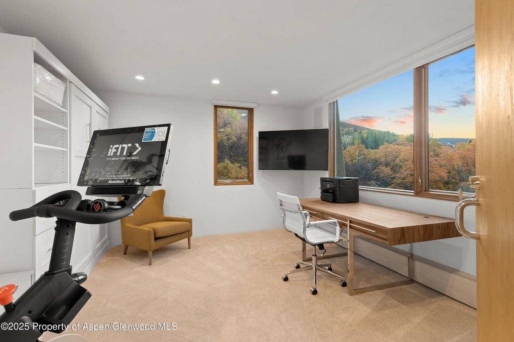 27 of 44 - 699 Eppley Drive, Aspen, CO