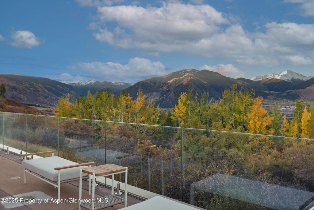 42 of 44 - 699 Eppley Drive, Aspen, CO