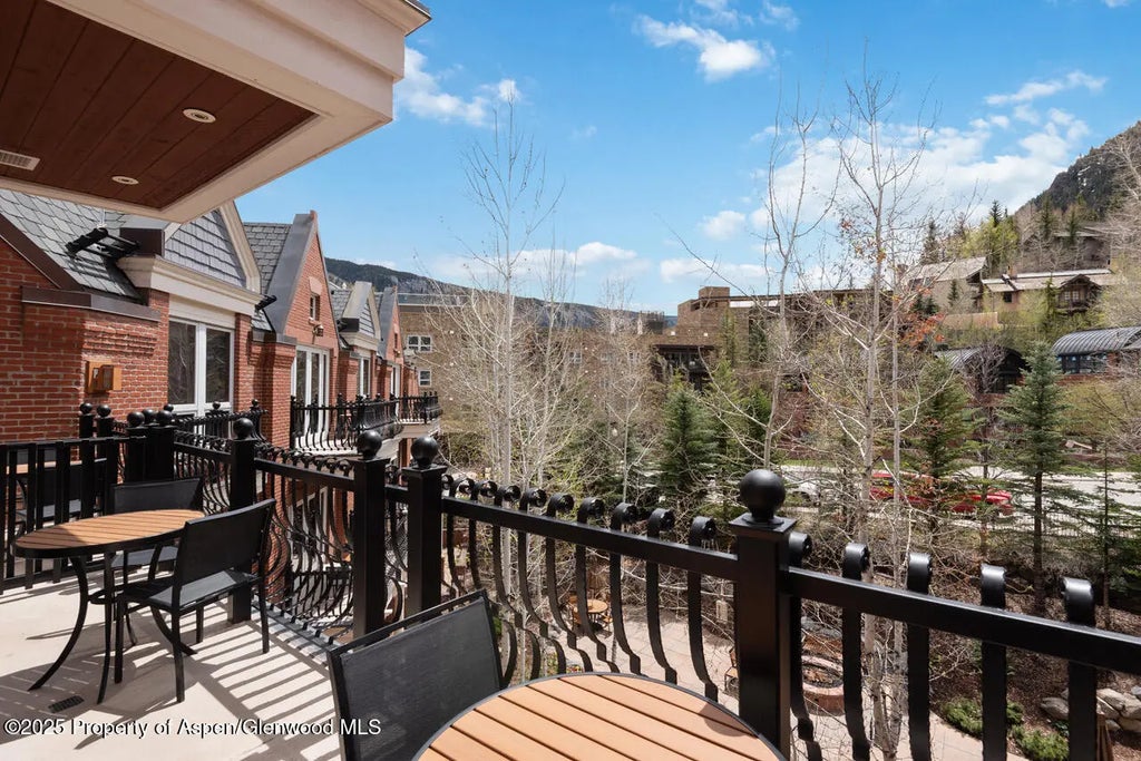 12 of 37 - 415 E Dean Street #33, Week 32, Aspen, CO