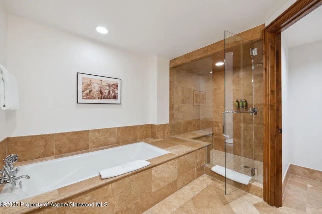 18 of 37 - 415 E Dean Street #33, Week 32, Aspen, CO