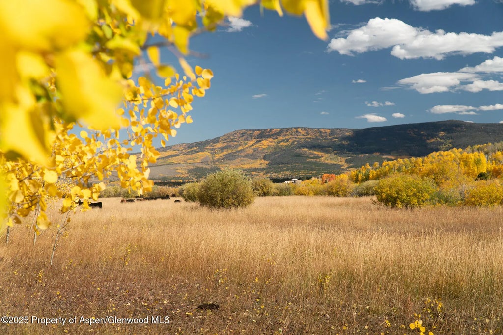 24 of 41 - 5601 Co-125, Walden, CO