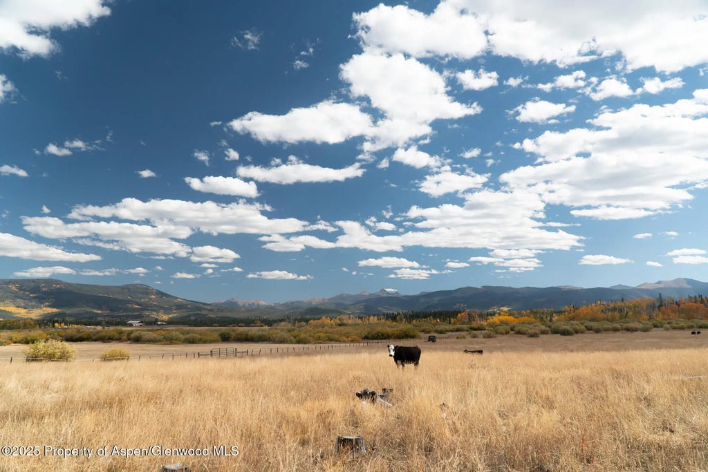 25 of 41 - 5601 Co-125, Walden, CO
