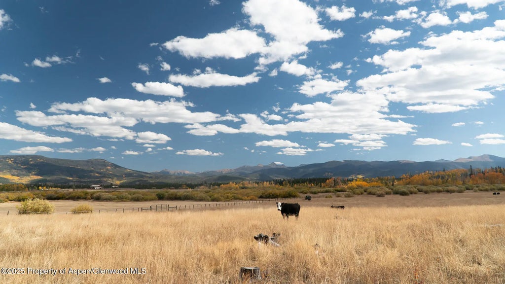 26 of 41 - 5601 Co-125, Walden, CO