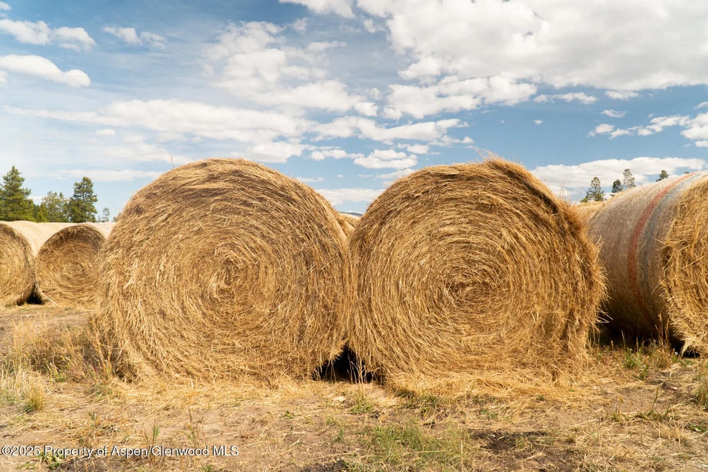 40 of 41 - 5601 Co-125, Walden, CO