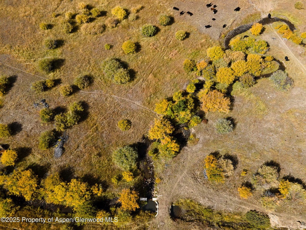 5 of 41 - 5601 Co-125, Walden, CO