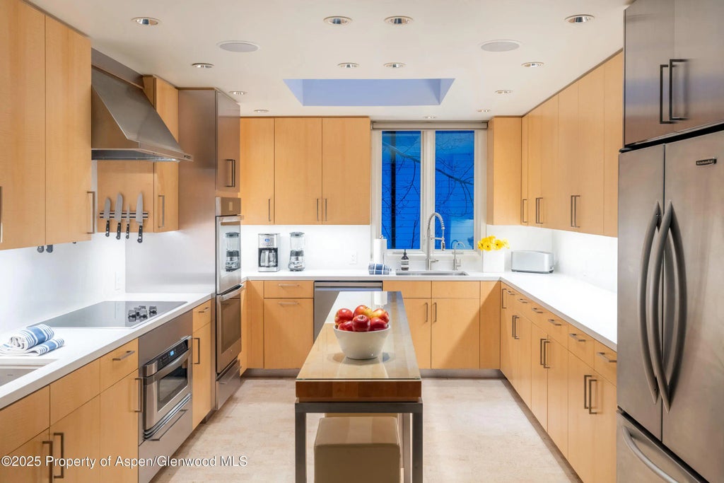 15 of 61 - 506 W Hallam Street, Aspen, CO
