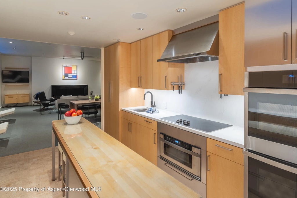 19 of 61 - 506 W Hallam Street, Aspen, CO