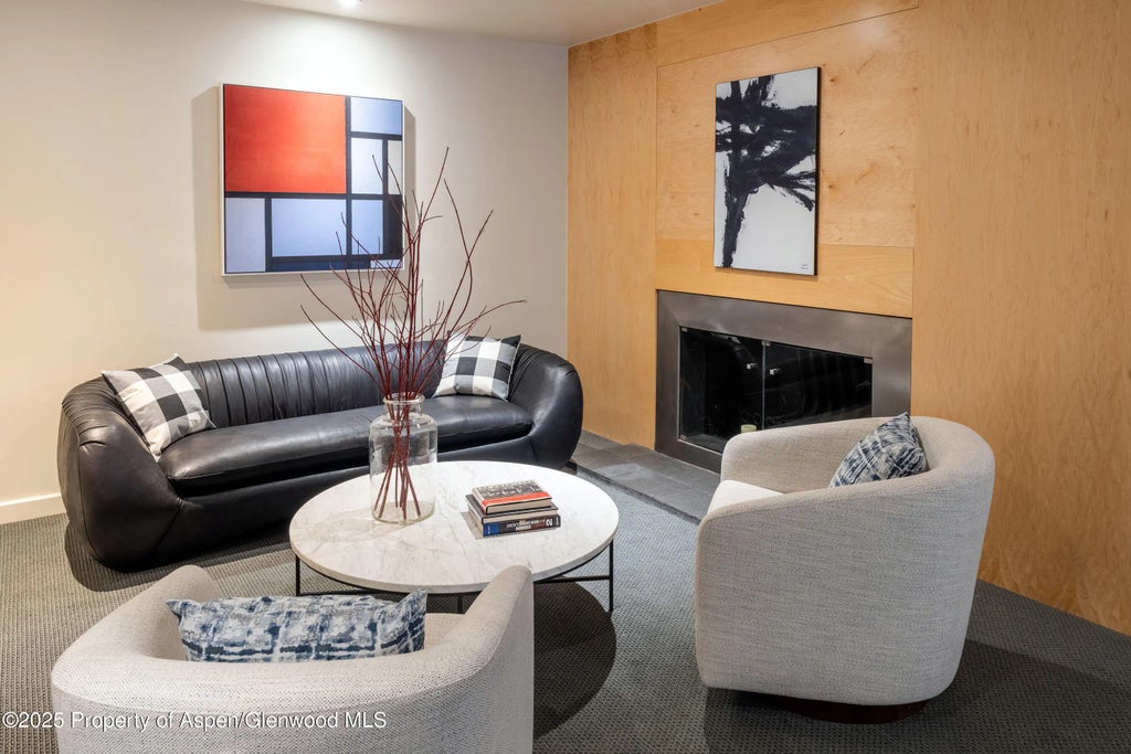 20 of 61 - 506 W Hallam Street, Aspen, CO
