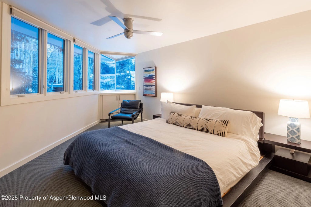 28 of 61 - 506 W Hallam Street, Aspen, CO