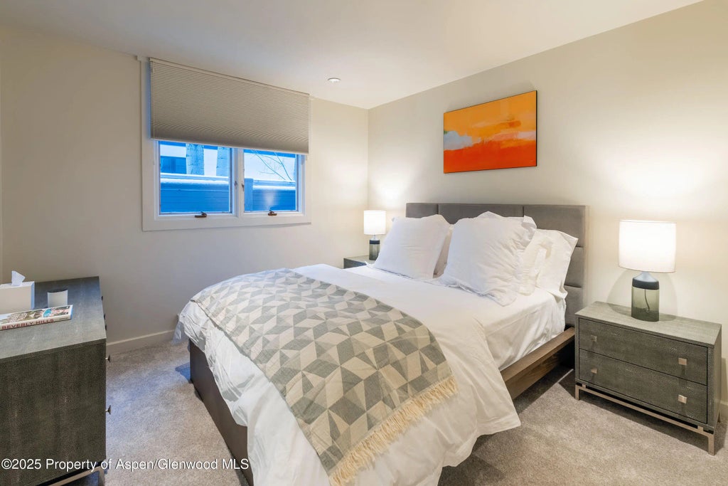 28 of 51 - 506 W Hallam Street, Aspen, CO