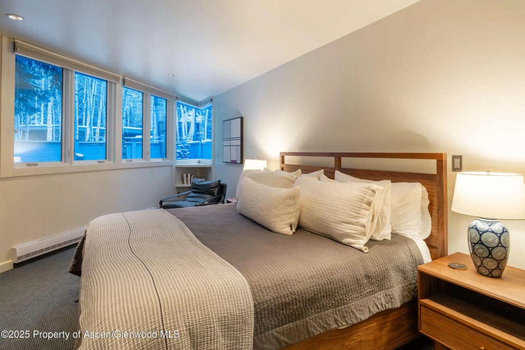 36 of 61 - 506 W Hallam Street, Aspen, CO